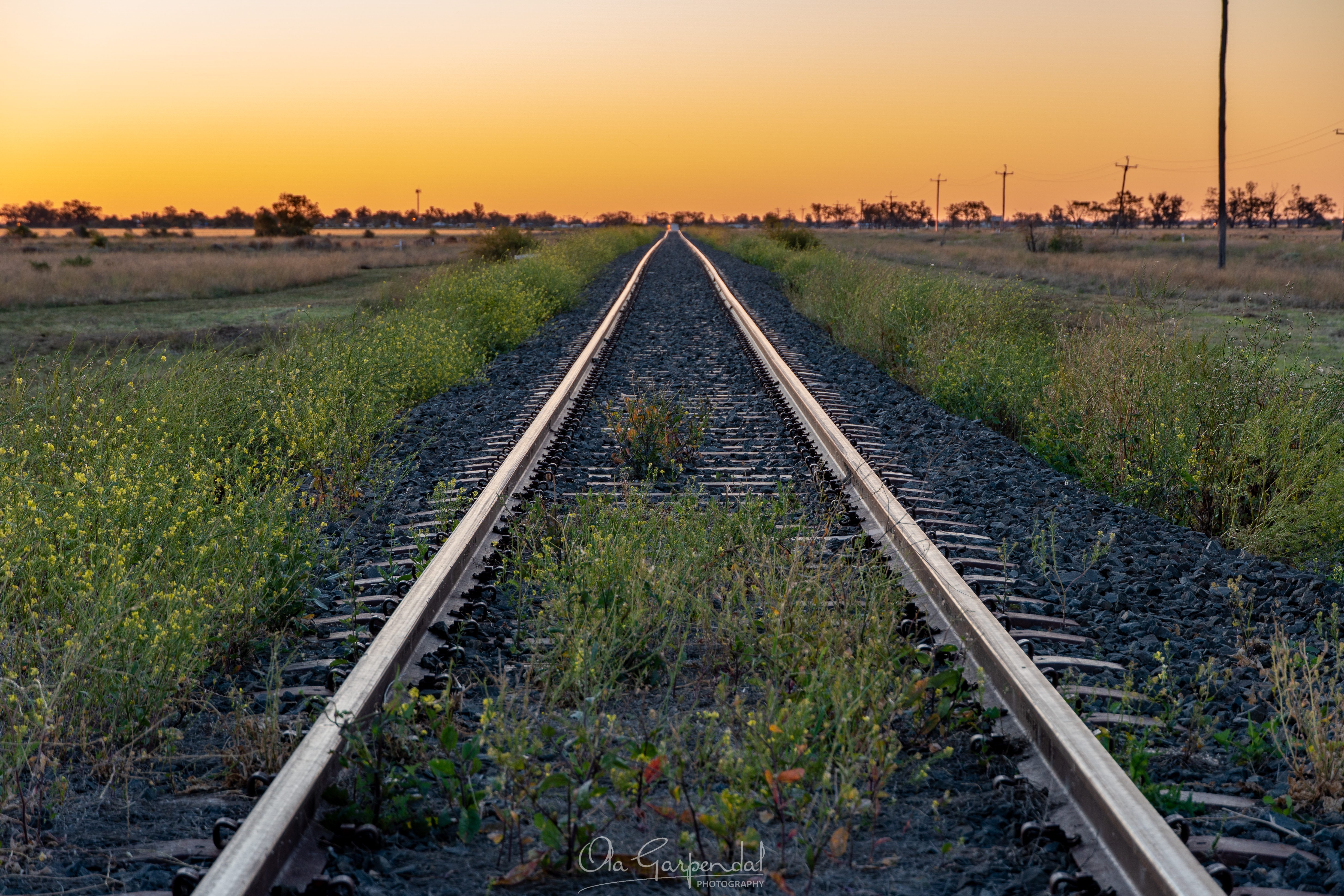 Burren Junction Tracks — railway line converging to a vanishing point at sunset in Burren Junction, northwest NSW, with wildflowers growing alongside the tracks under an amber sky, photographed by Ola Garpendal Photography.