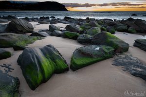 Green Rocks featuring algae-covered coastal boulders on Forresters Beach, with smooth sand, gentle ocean waves, a distant headland and soft June morning light, photographed by Ola Garpendal Photography