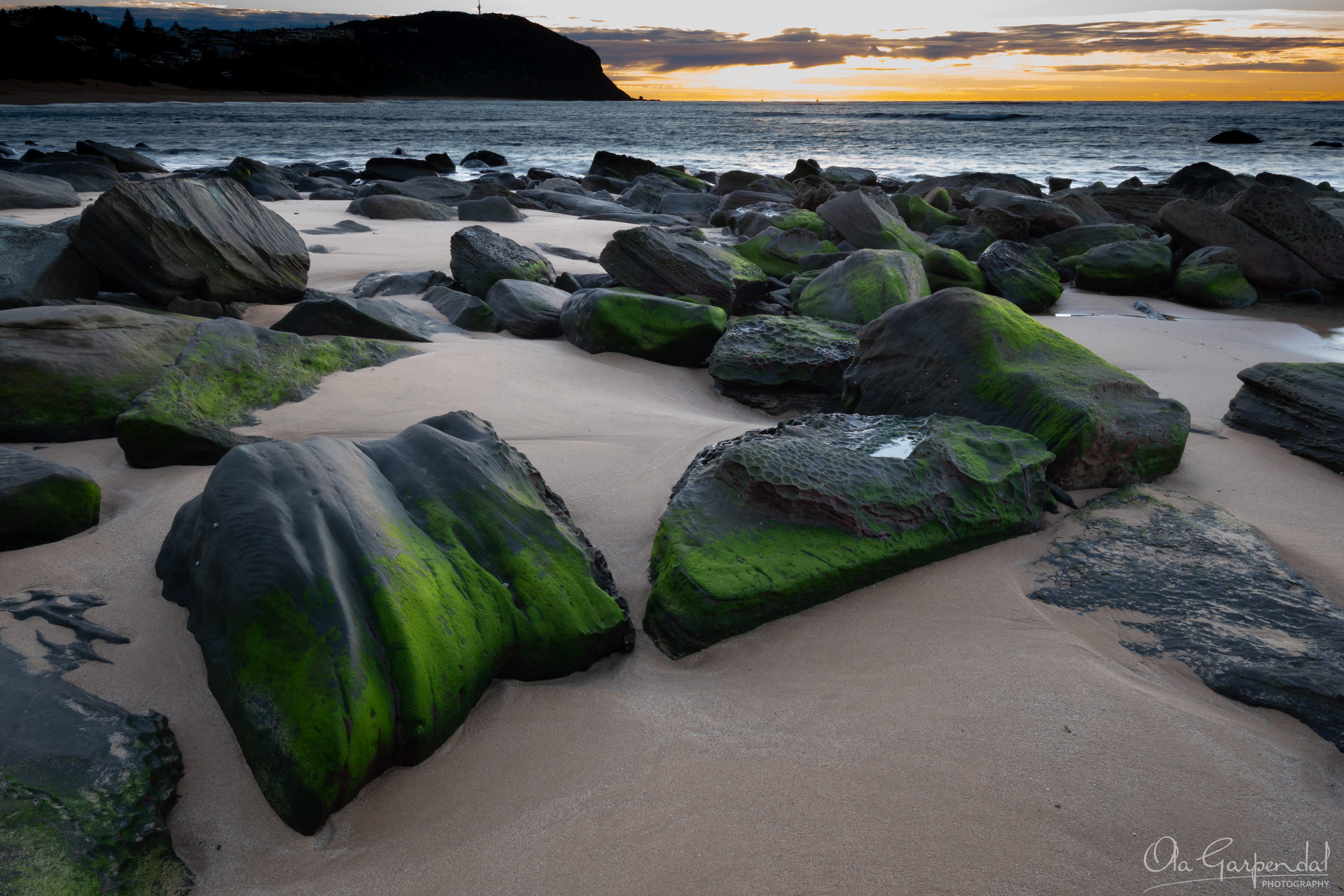 Green Rocks featuring algae-covered coastal boulders on Forresters Beach, with smooth sand, gentle ocean waves, a distant headland and soft June morning light, photographed by Ola Garpendal Photography