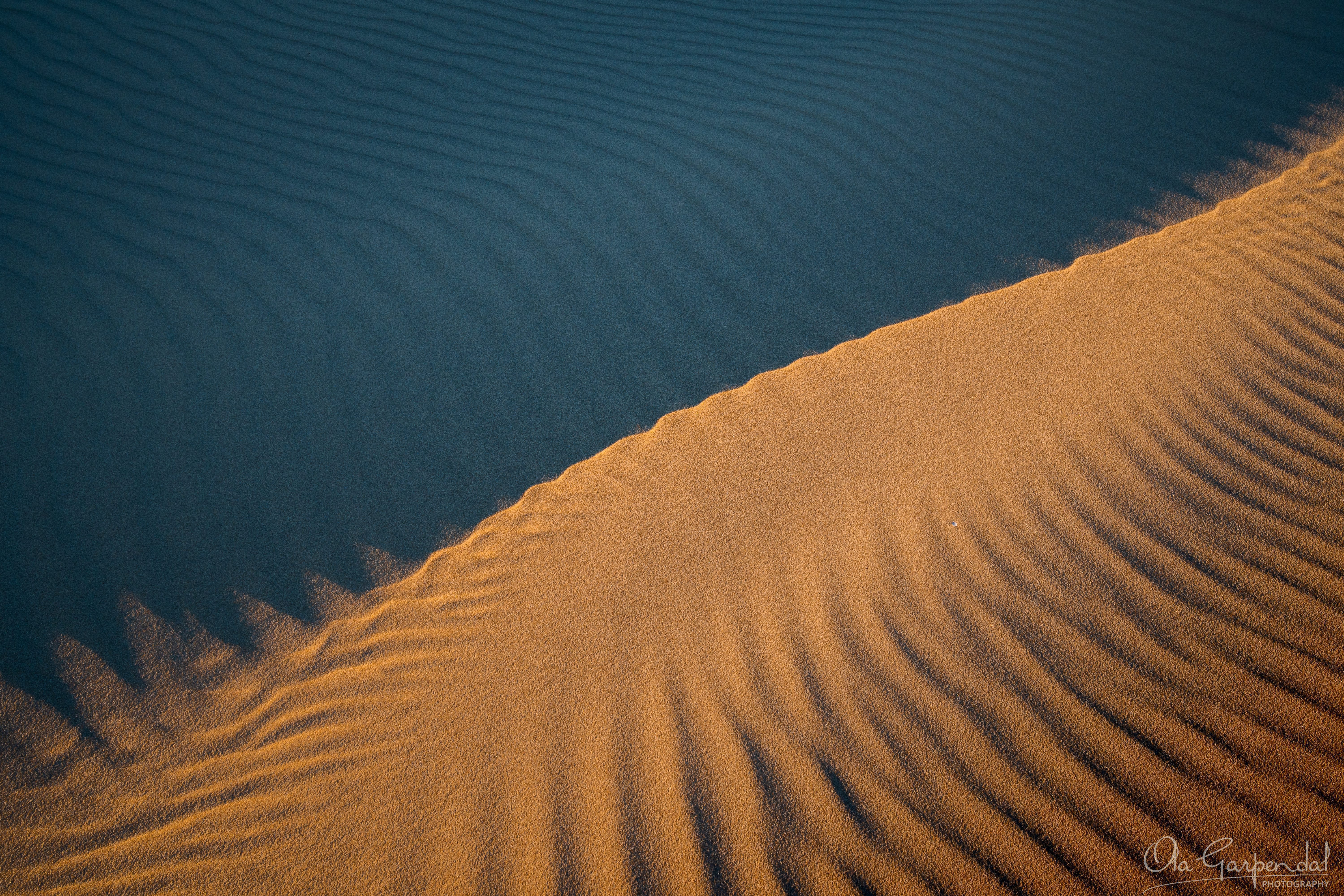 Stockton Beach Sand Dunes — a sand dune crest at Stockton Beach in late afternoon light, dividing the frame between warm golden sand and cool blue shadow, photographed by Ola Garpendal Photography.