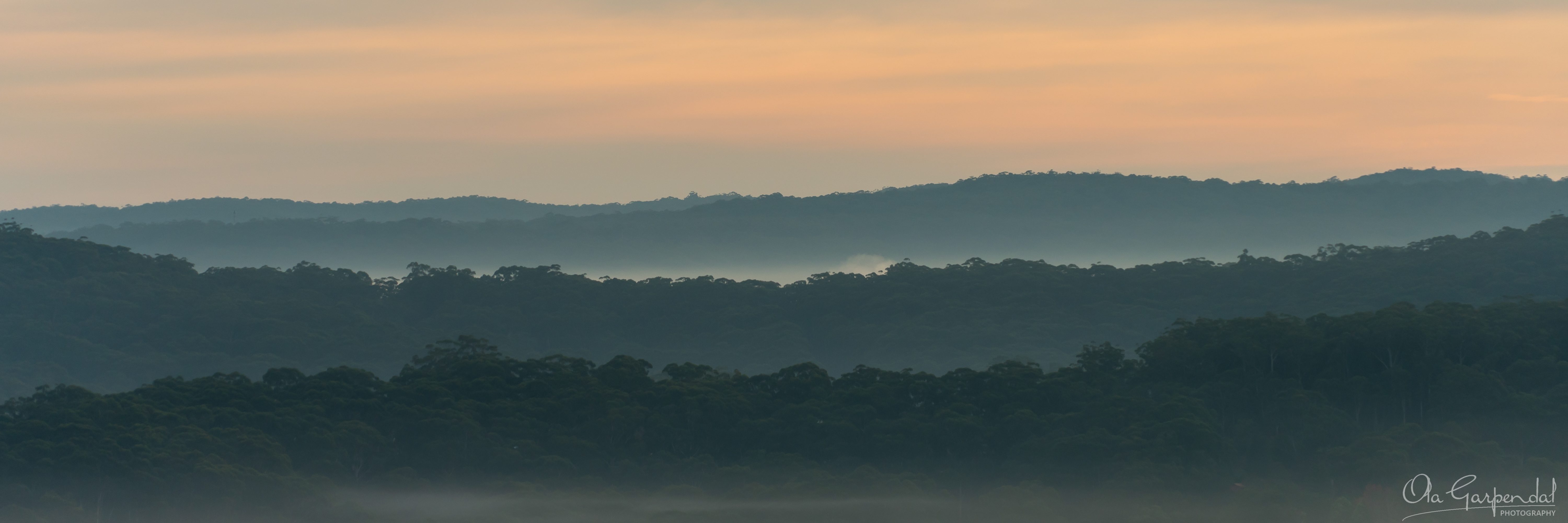 Misty Morning from Rumbalara — layered bushland ridgelines over Wyoming seen from Rumbalara Reserve, shrouded in morning mist beneath a soft peach pre-dawn sky, photographed by Ola Garpendal Photography.