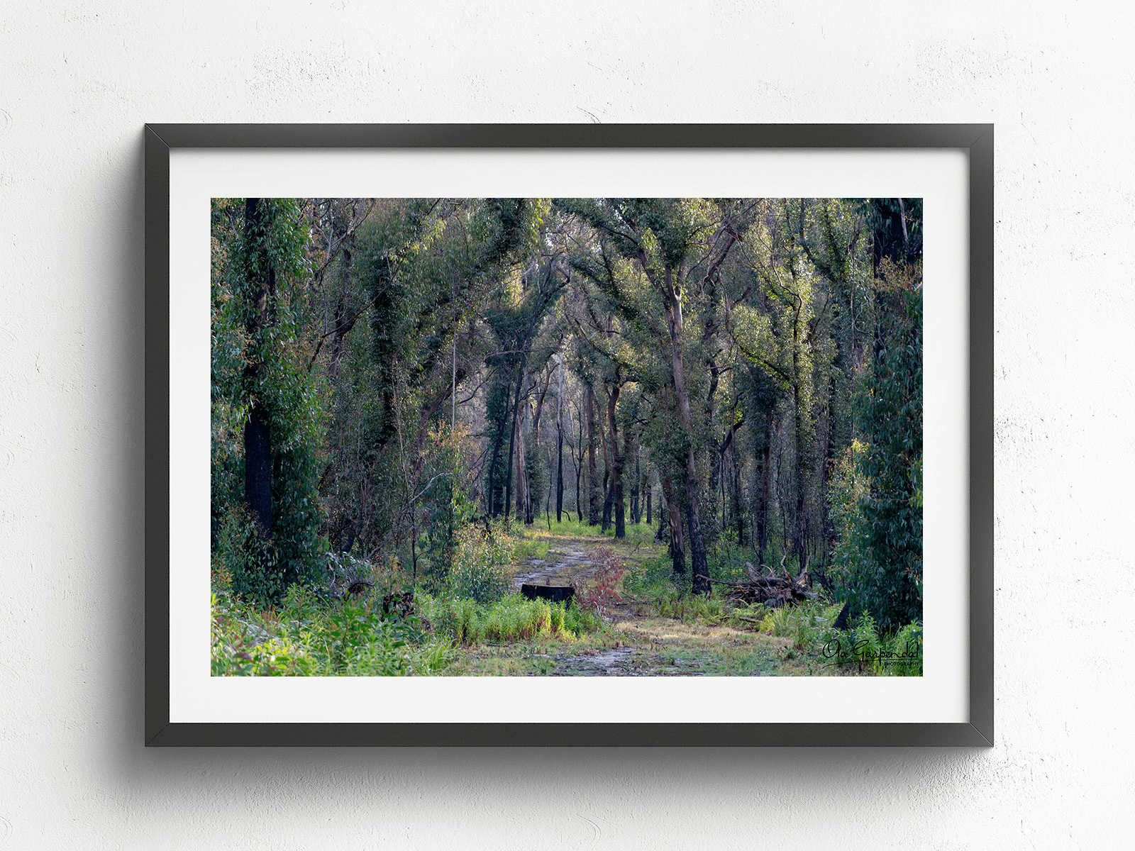 Bald Rock Border Walk - Image 3
