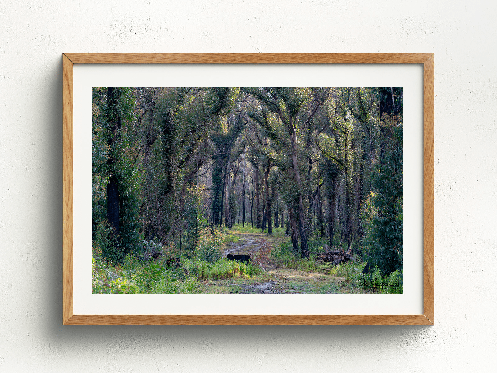Bald Rock Border Walk - Image 4