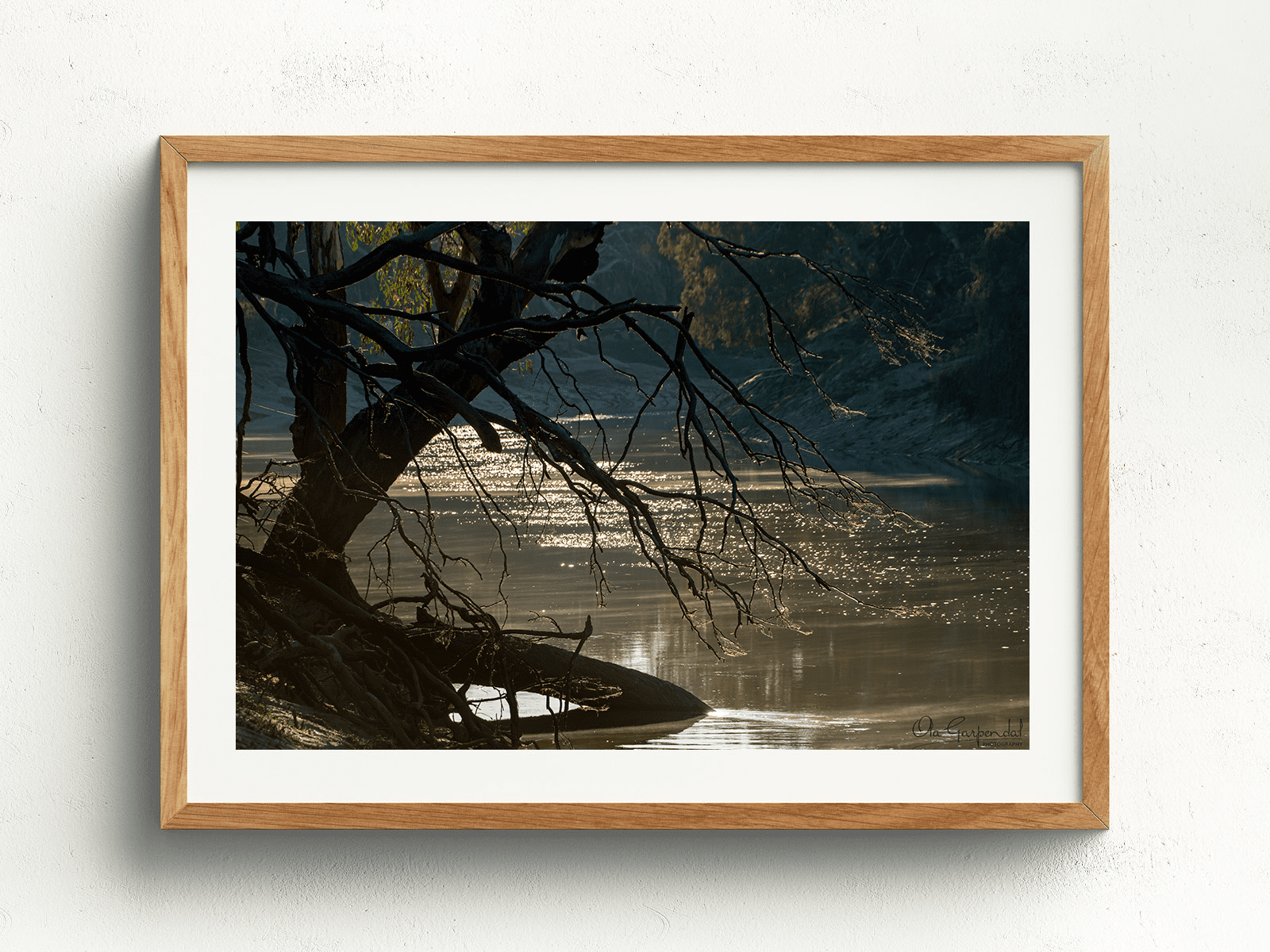 Darling River at Trilby Station - Image 4