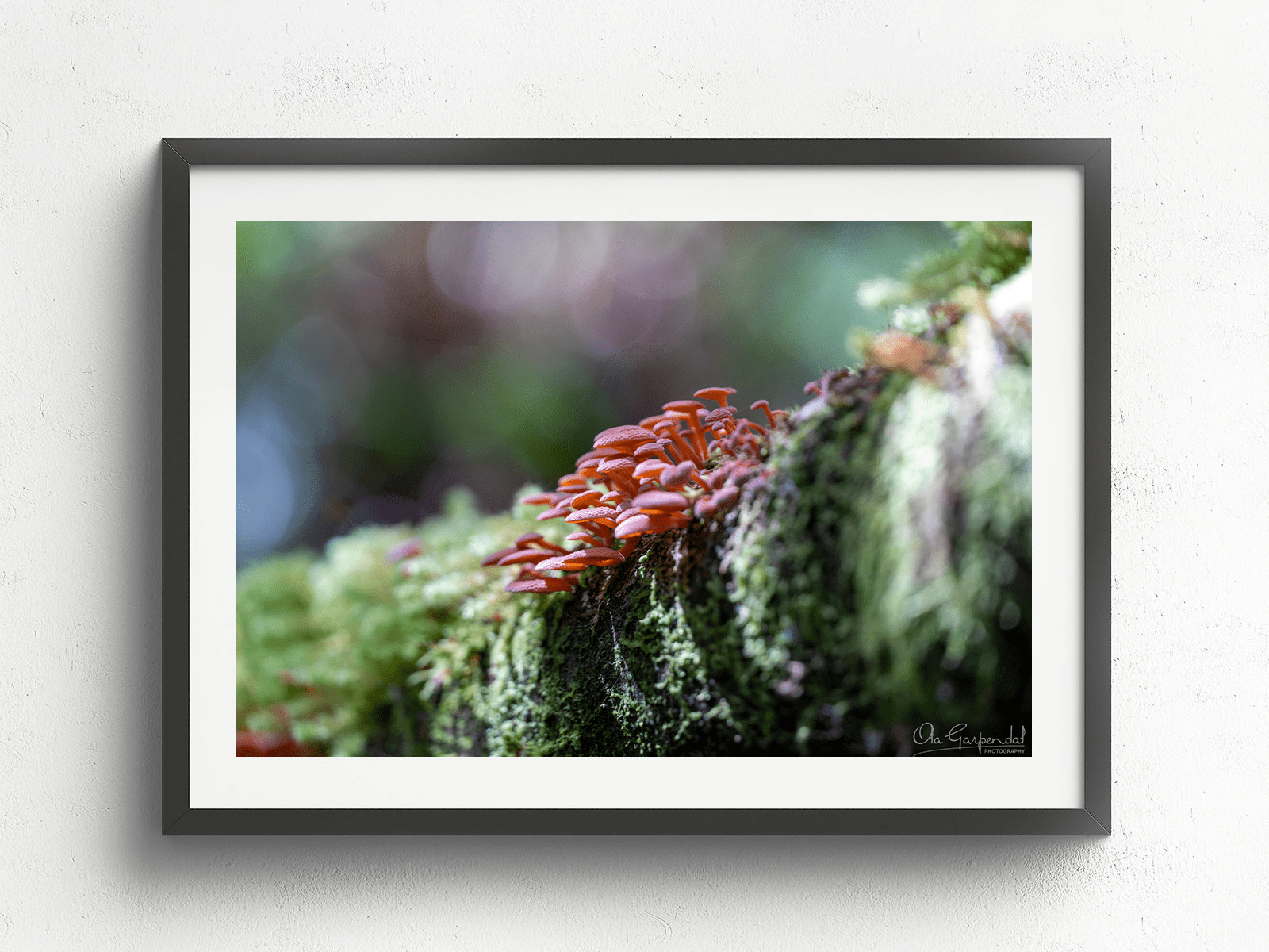 Mushrooms on a Log - Image 3