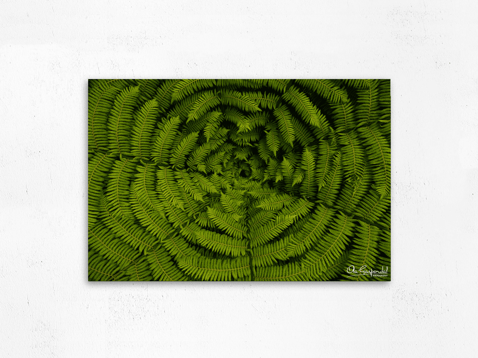 Silver Fern at Marahau - Image 2