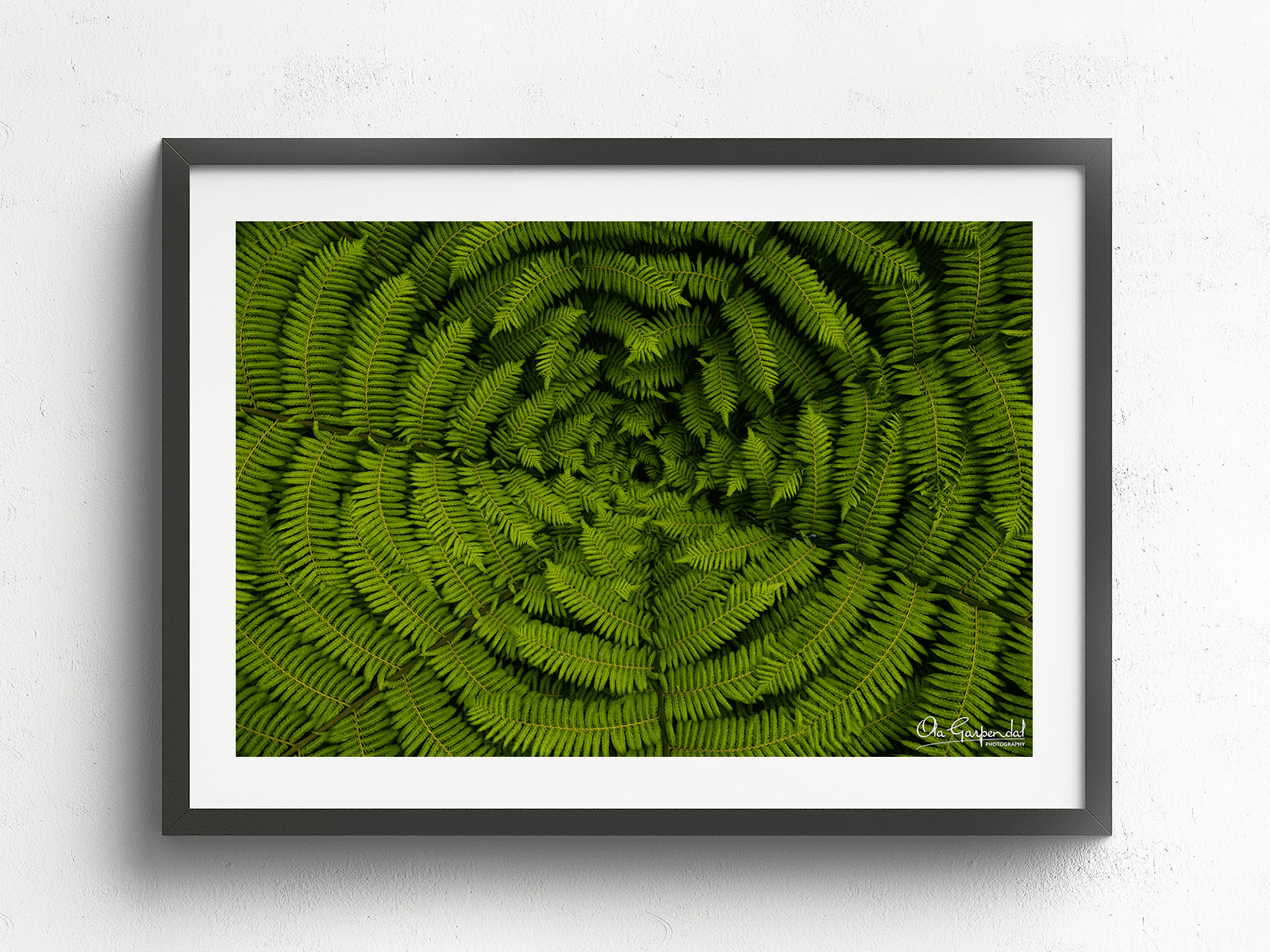 Silver Fern at Marahau - Image 3