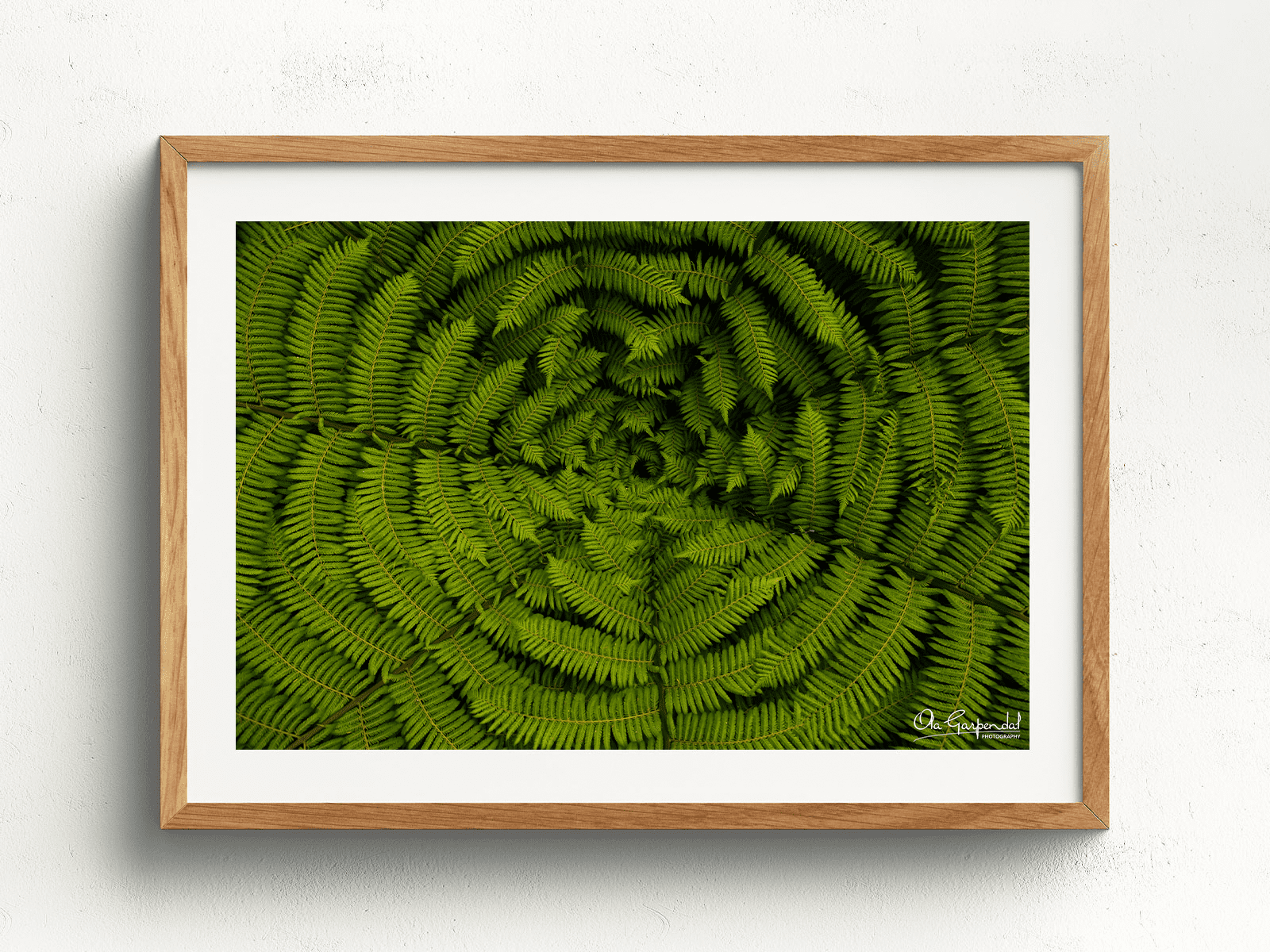 Silver Fern at Marahau - Image 4