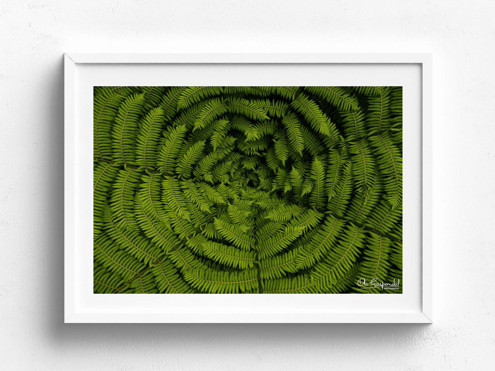 Silver Fern at Marahau - Image 5