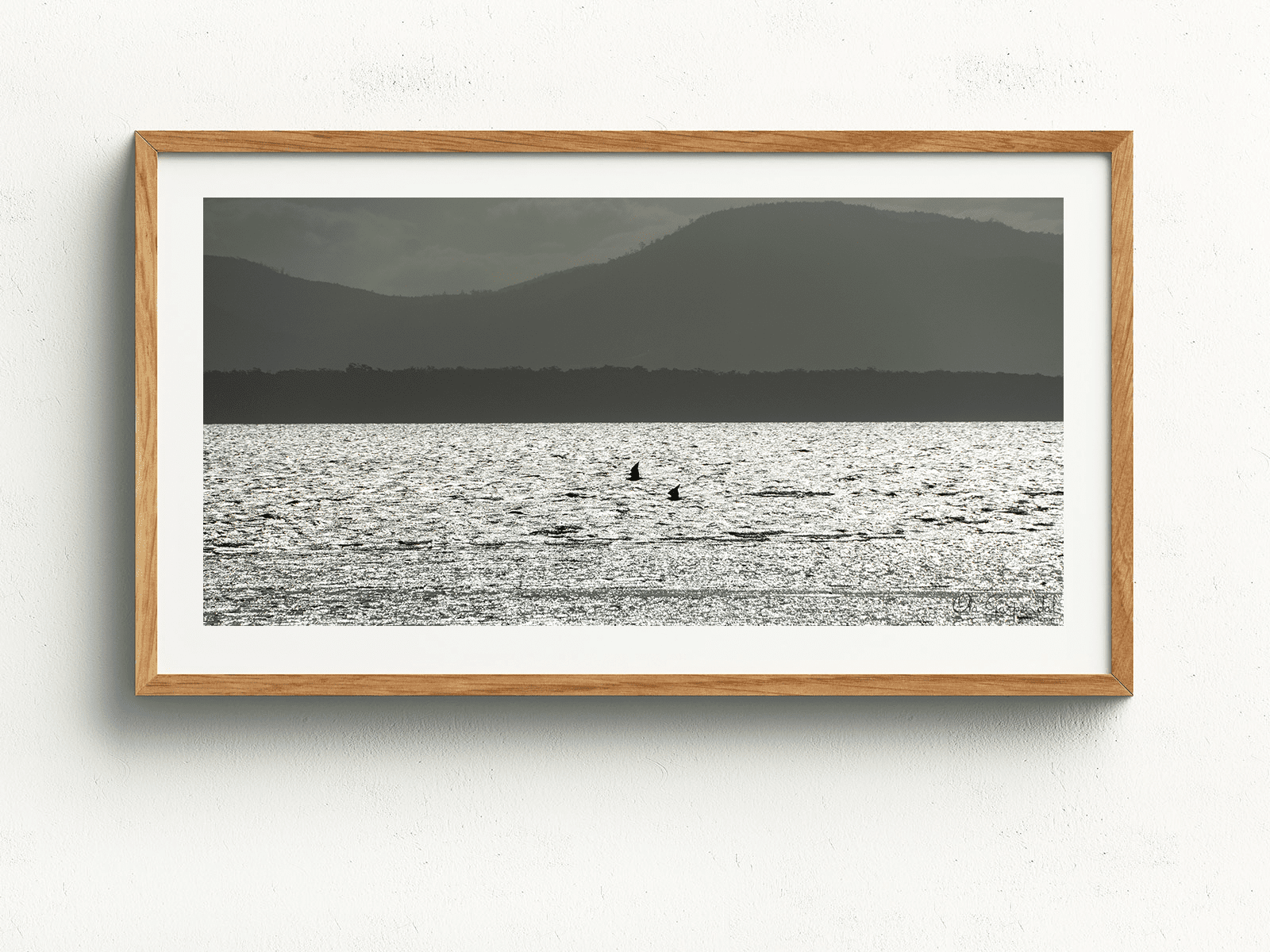 Birds at the Neck - Image 4
