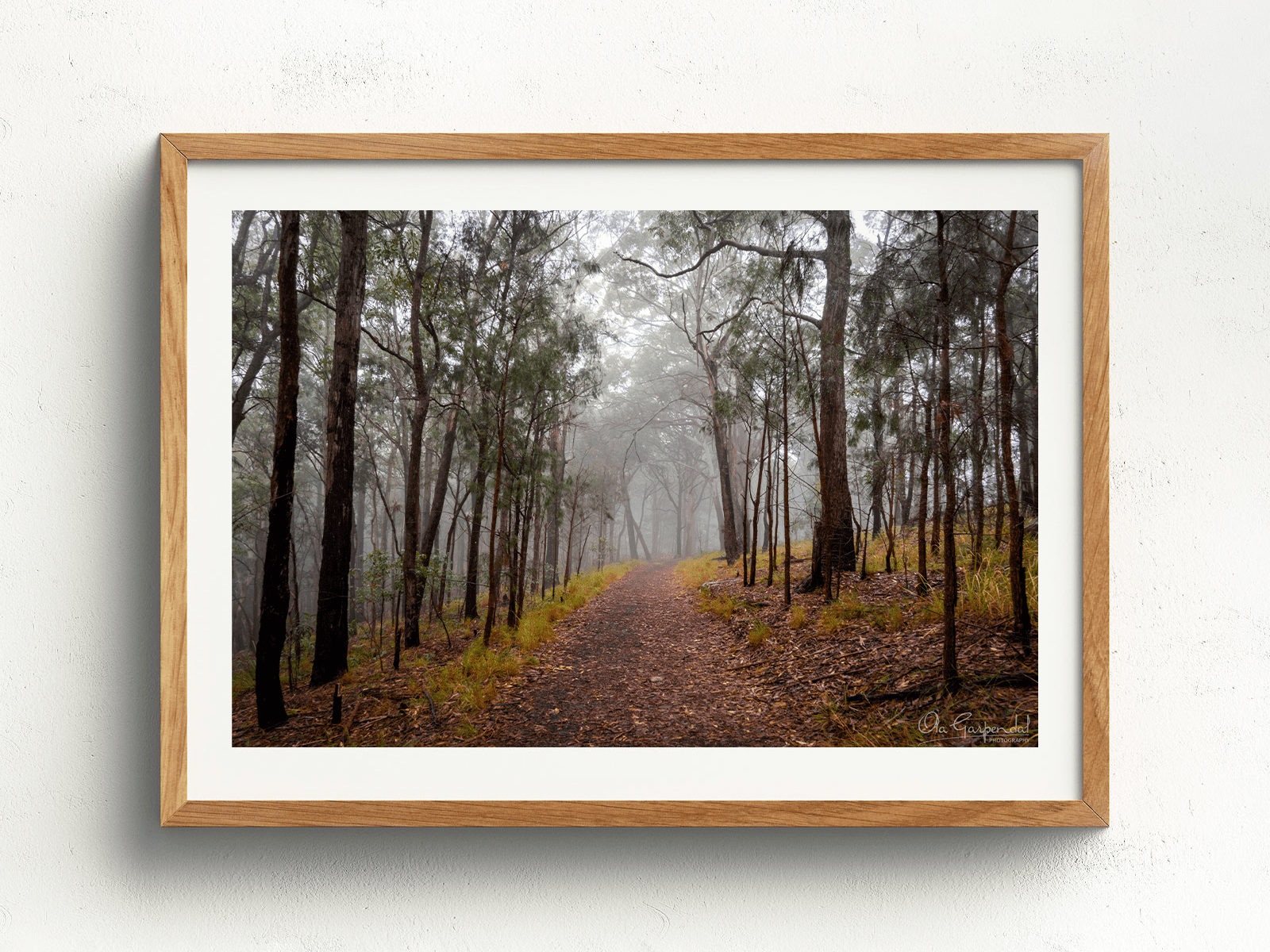 Foggy Bush Track 2-3 L Timber Frame on small wall