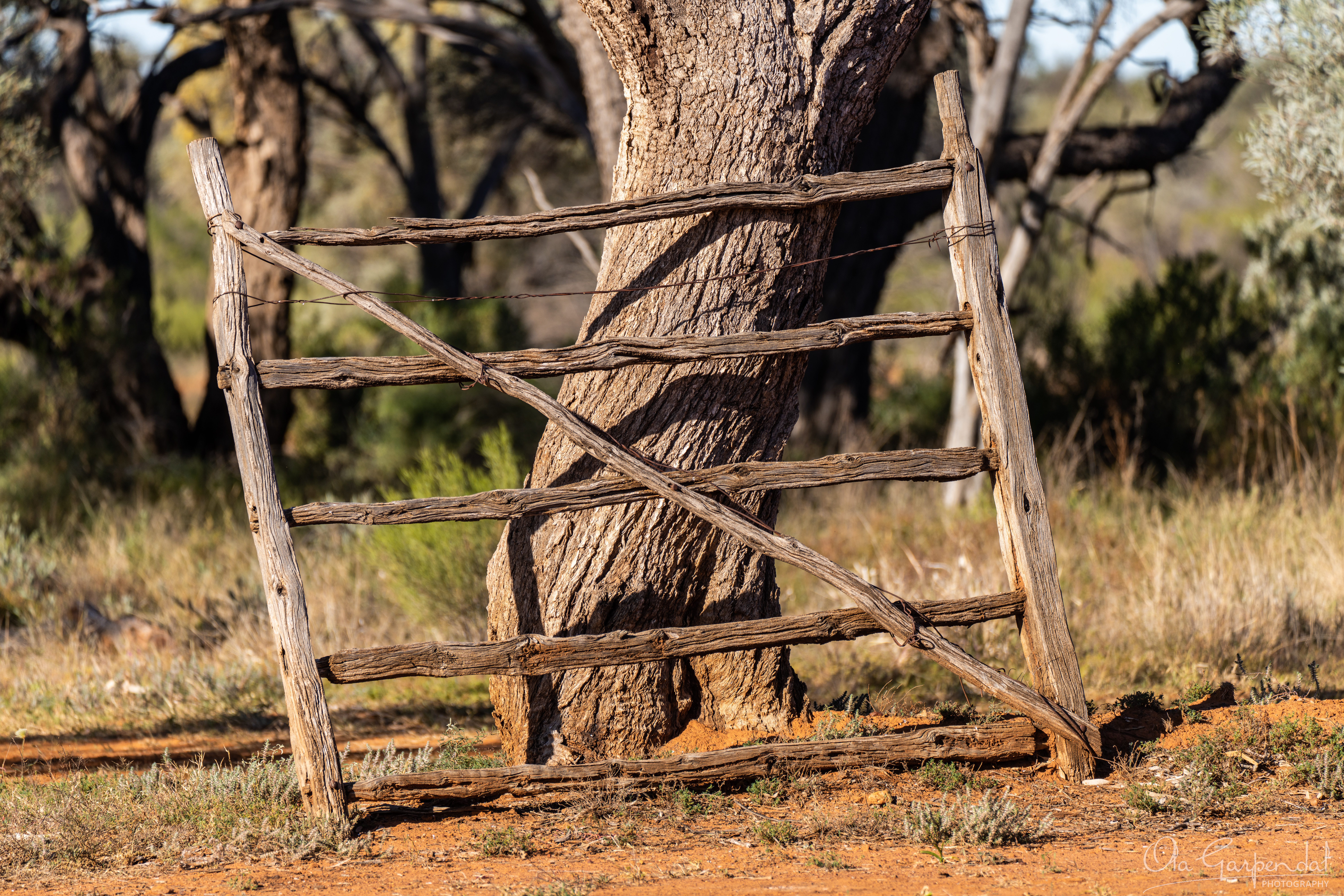 Alroy Gate, weathered timber gate leaning against the tree trunk, photographed by Ola Garpendal Photography