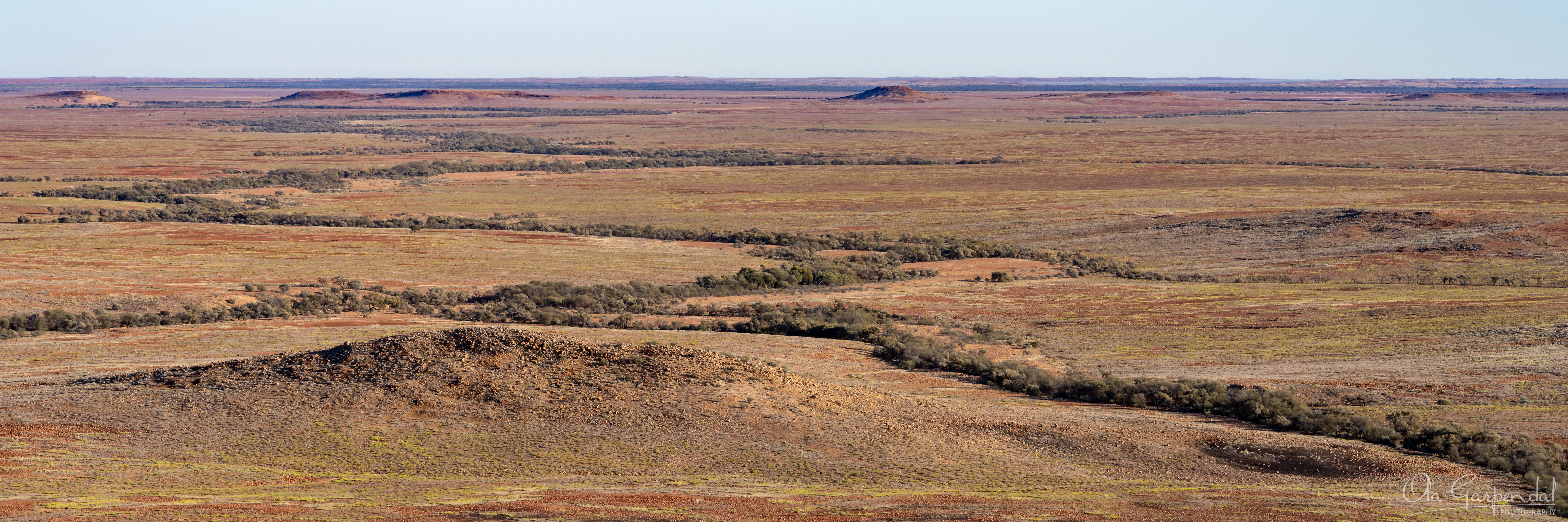 Channel Country, gently rolling terrain stretches toward the horizon, dotted with sparse shrubs and low grasses, photographed by Ola Garpendal Photography