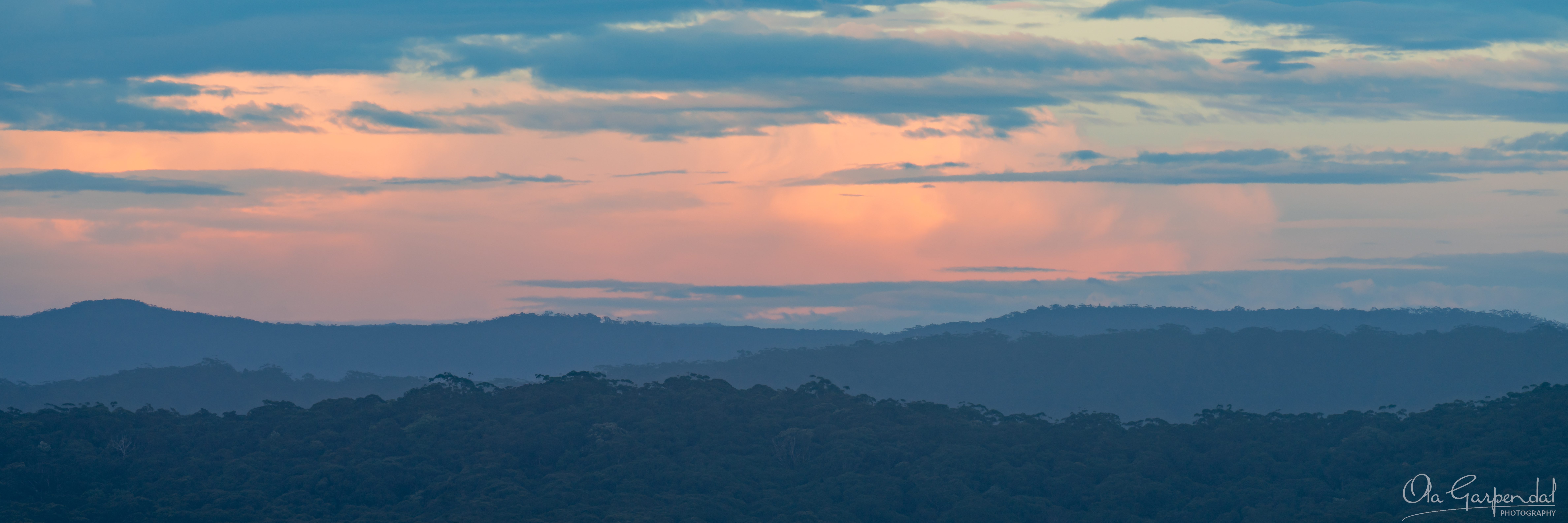 Blue Dawn, clouds in blue, soft rose and peach, with forest canopy, photographed by Ola Garpendal Photography