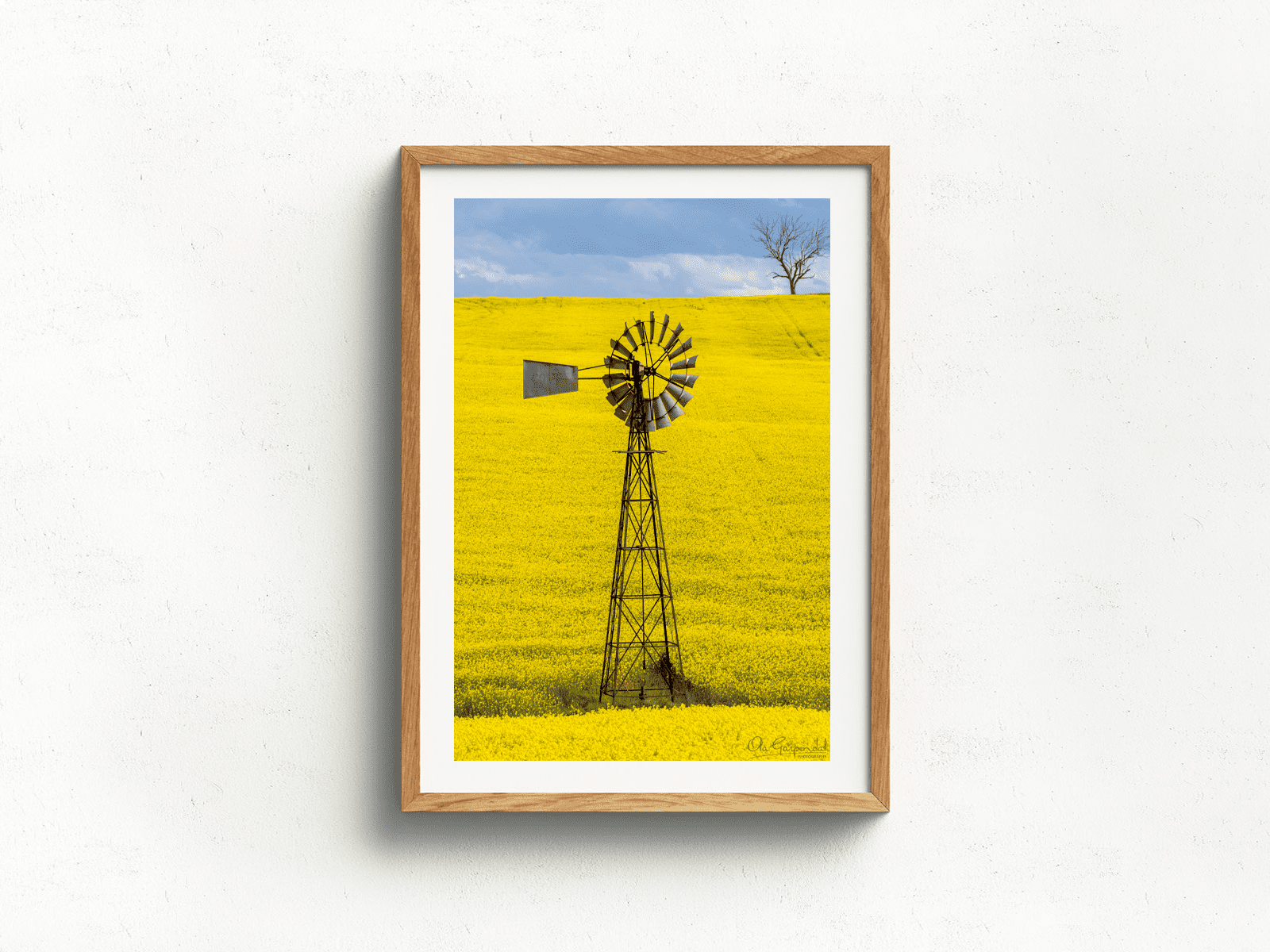 Windmill in Canola 3-2 P Timber Frame on small wall