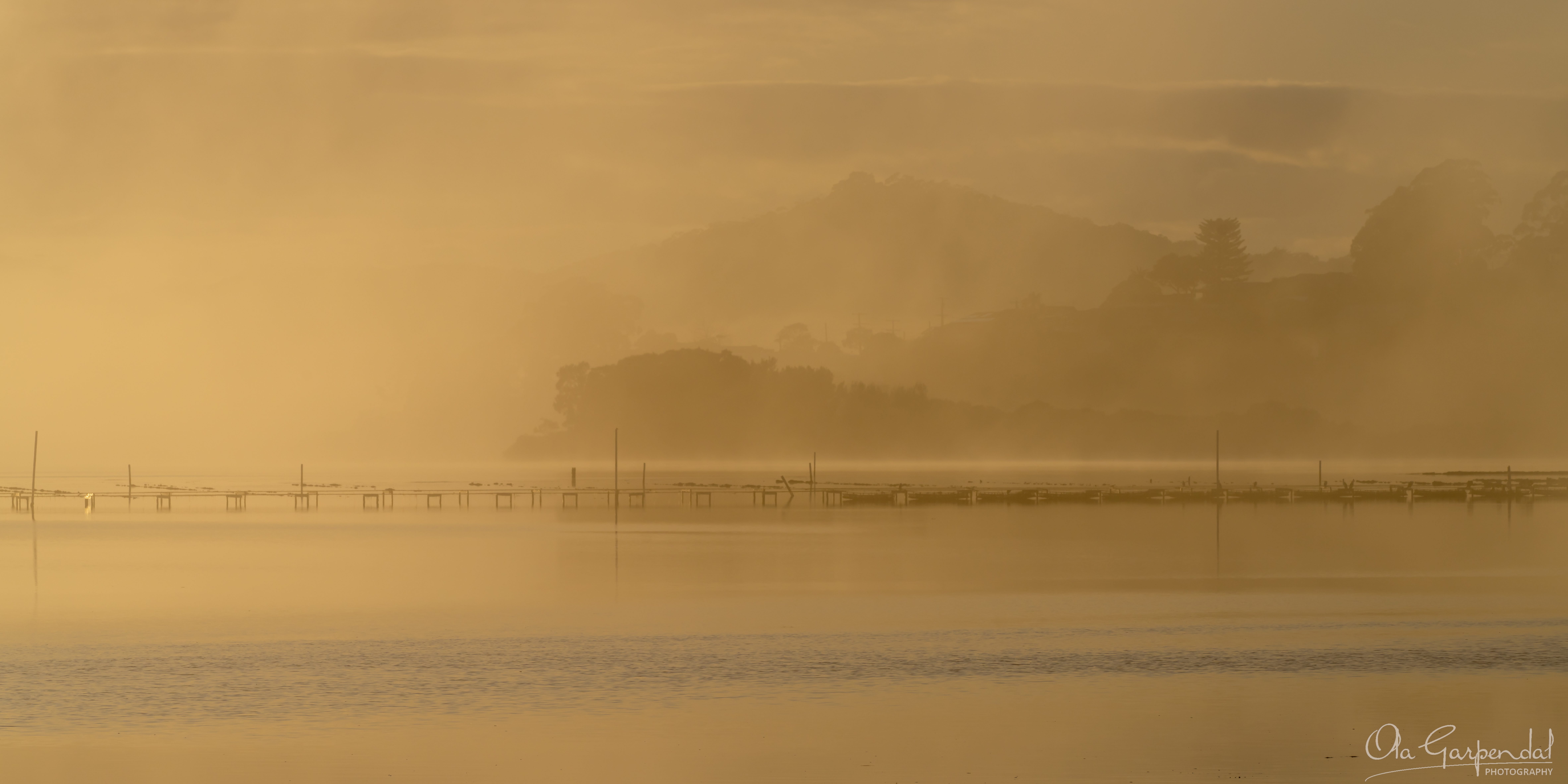 Gold Fog, fine art print of Brisbane Water in golden winter fog with oyster trays and hills wrapped in fog, photographed by Ola Garpendal Photography.