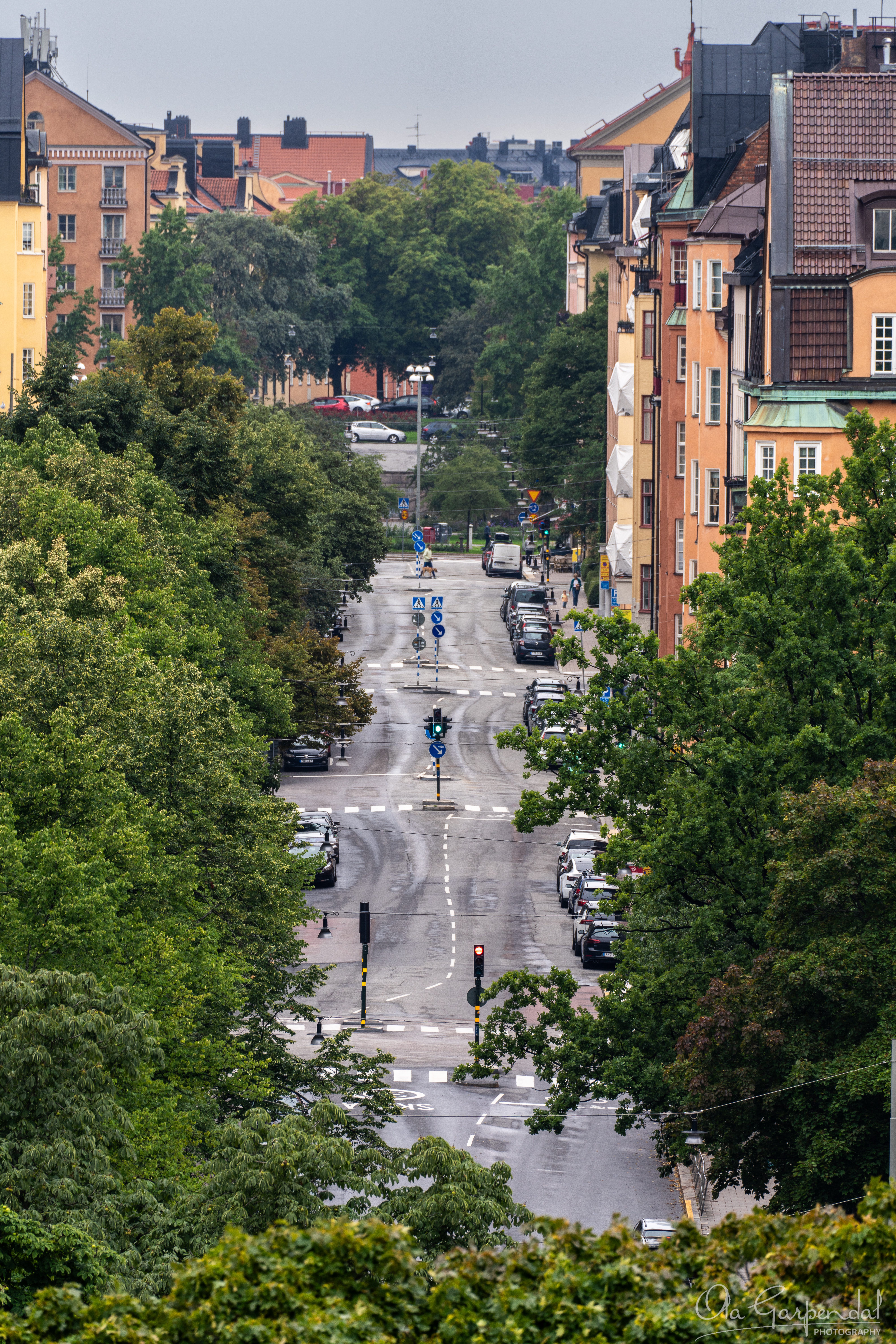 Vanadisvägen, rainy street framed by trees and buildings, photographed by Ola Garpendal Photography