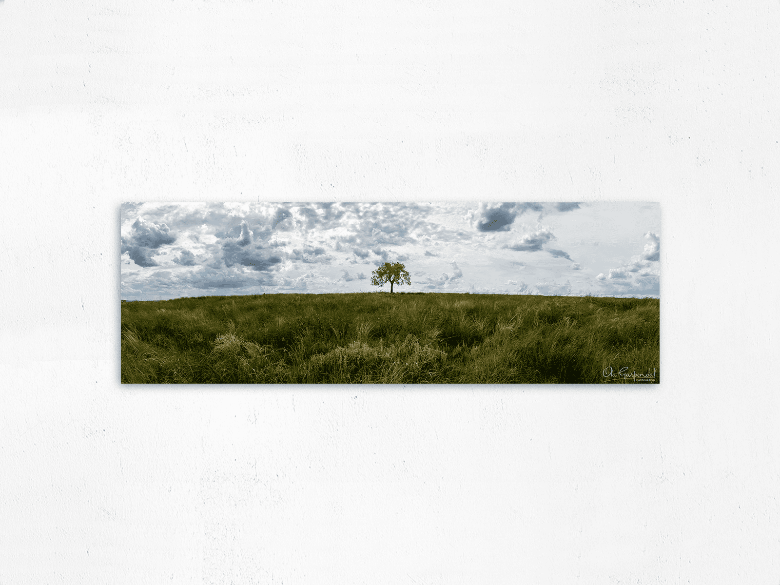 Lonely Tree 1-3 L AFM on small wall