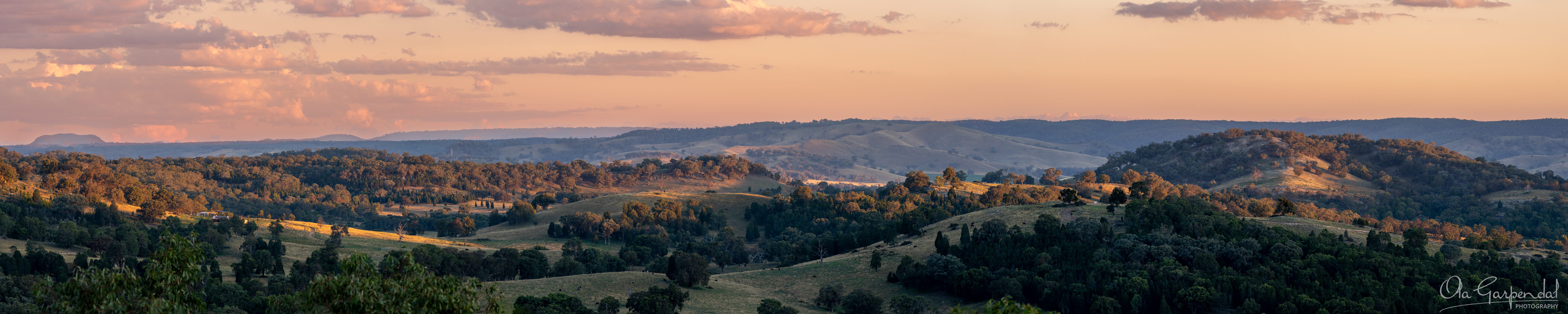 Old Bara Evening — sweeping aerial view of rolling pastoral hills and eucalypt woodland near Bara in the NSW Central West, bathed in warm autumn afternoon light under a peach and rose sky, photographed by Ola Garpendal Photography.