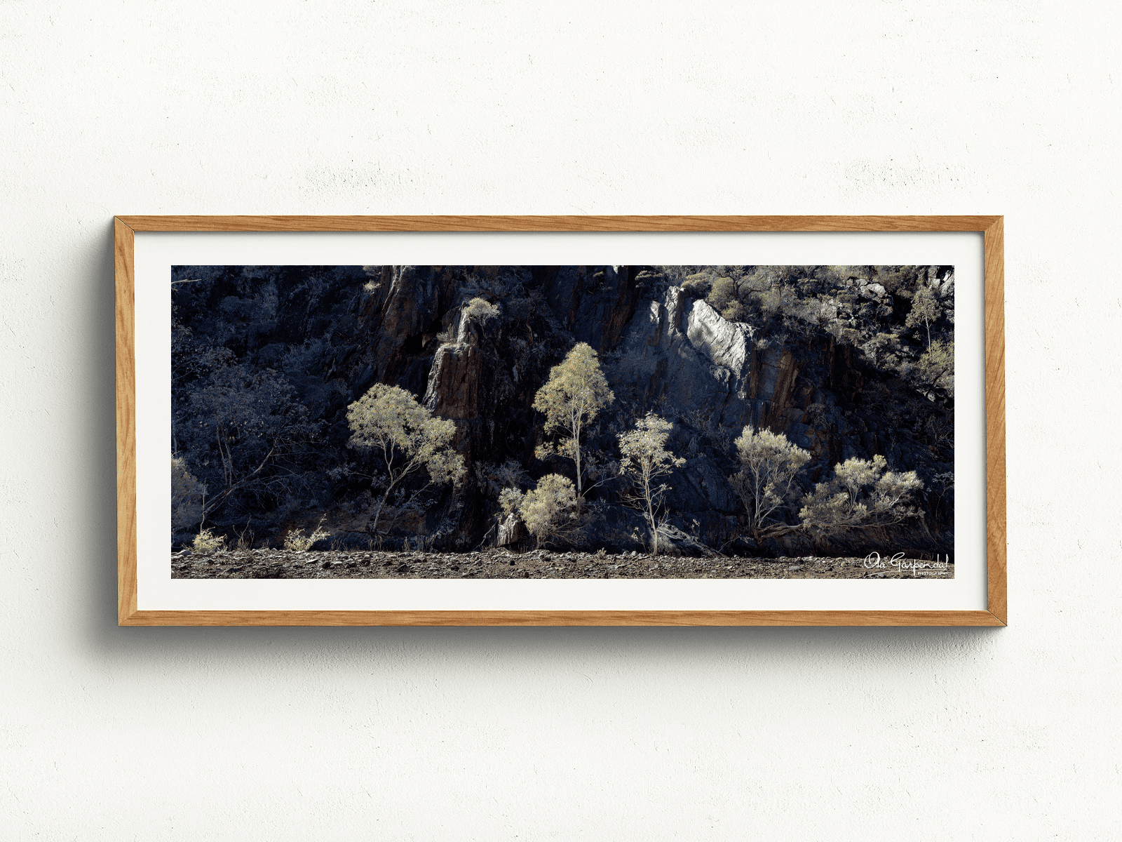 Sunlit gum trees in front of a cliff face displayed in a wooden frame on a wall