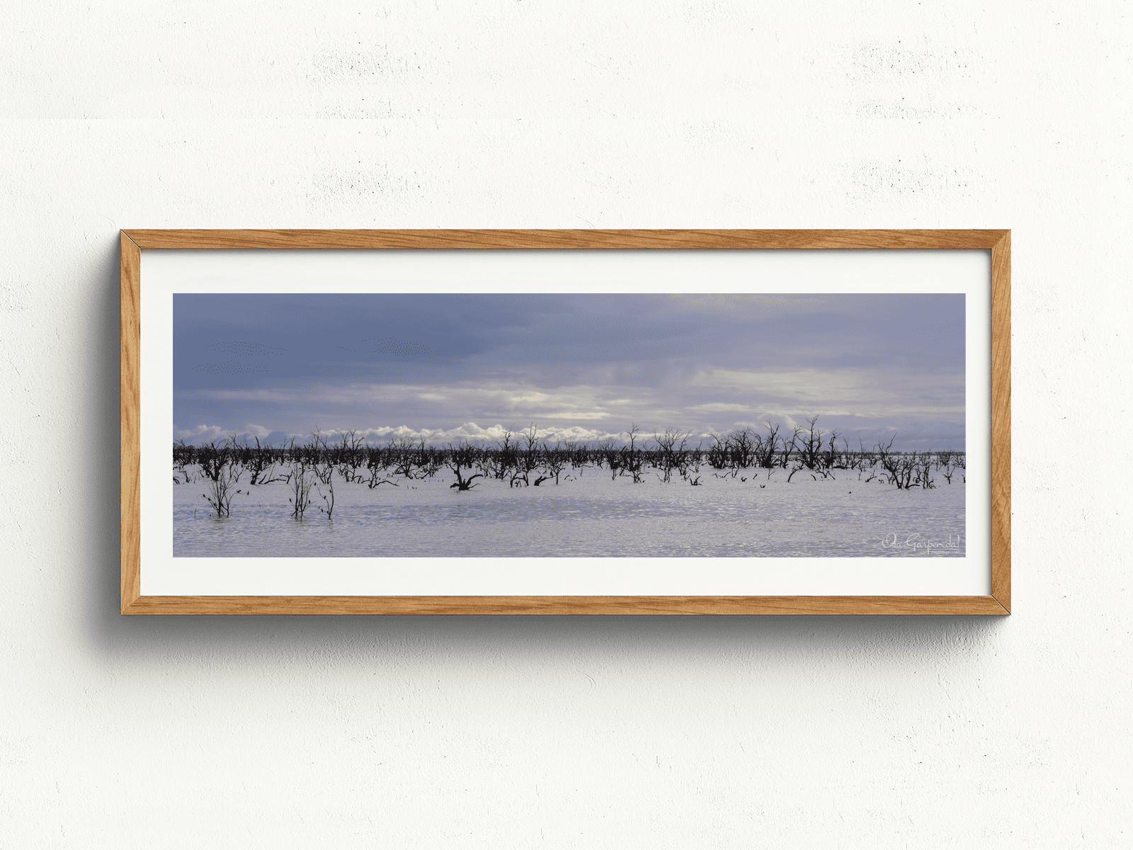 Lake Pamamaroo - Image 4