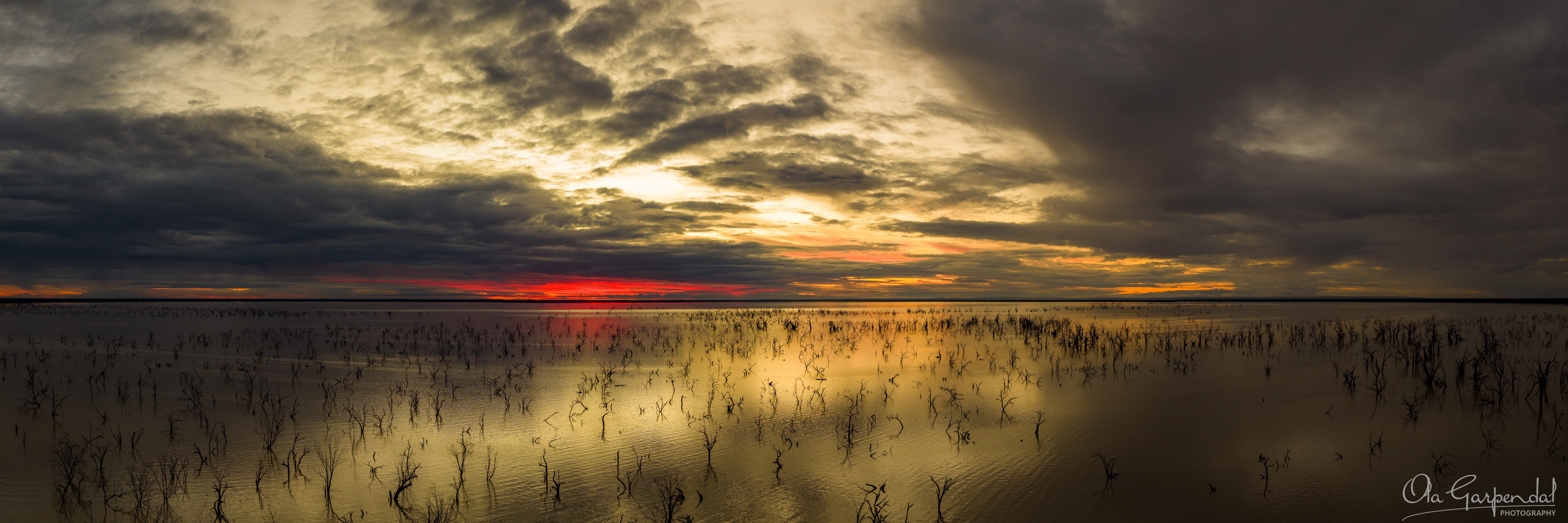 Menindee Sunset, sky in red, yellow and gold, submerged trees cover the foreground, photographed by Ola Garpendal Photography