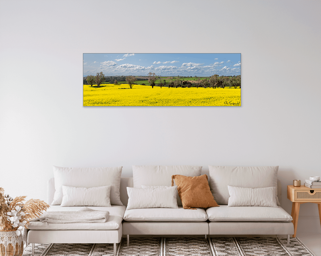 Canola Field - Image 9