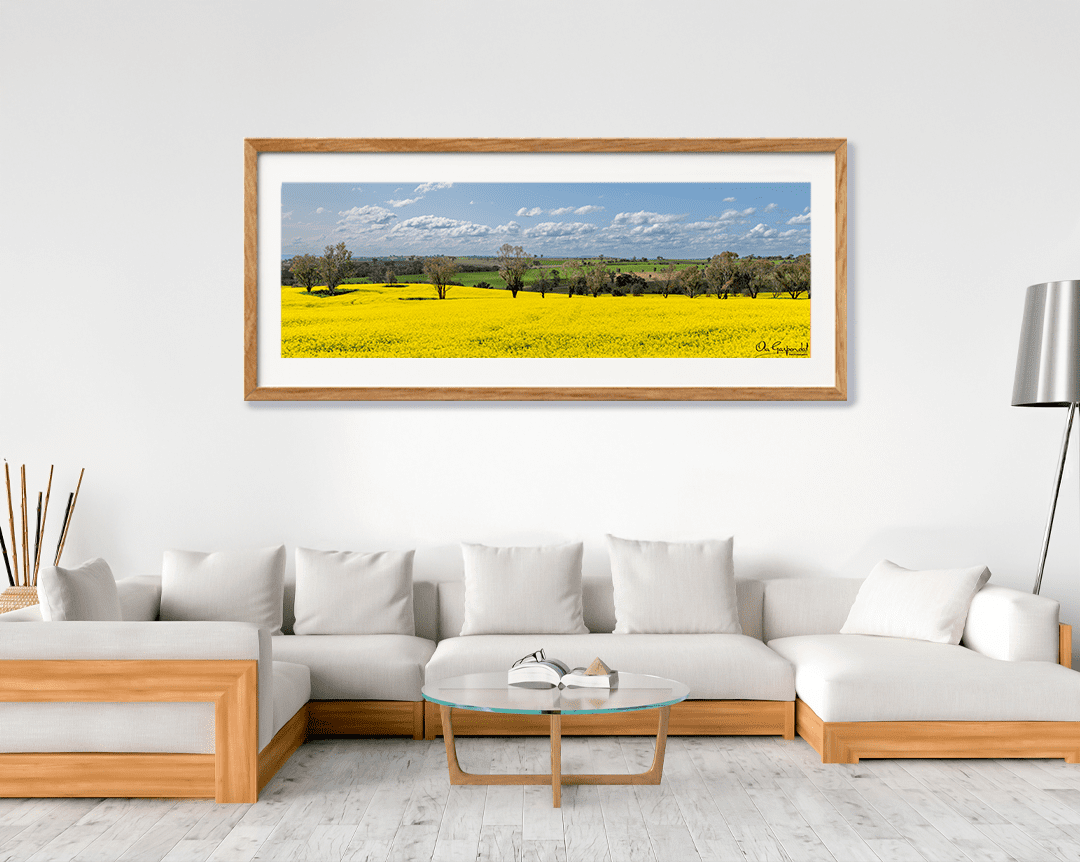 Canola Field - Image 6