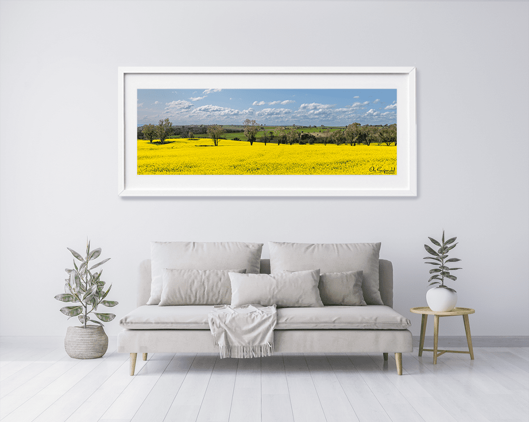 Canola Field - Image 7
