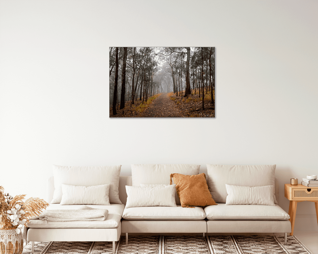 Foggy Bush Track - Image 9