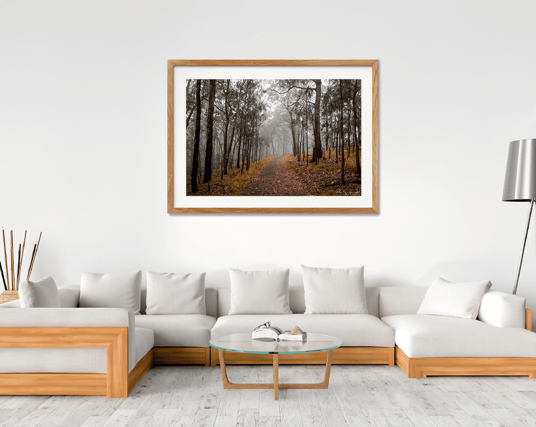 Foggy Bush Track - Image 8