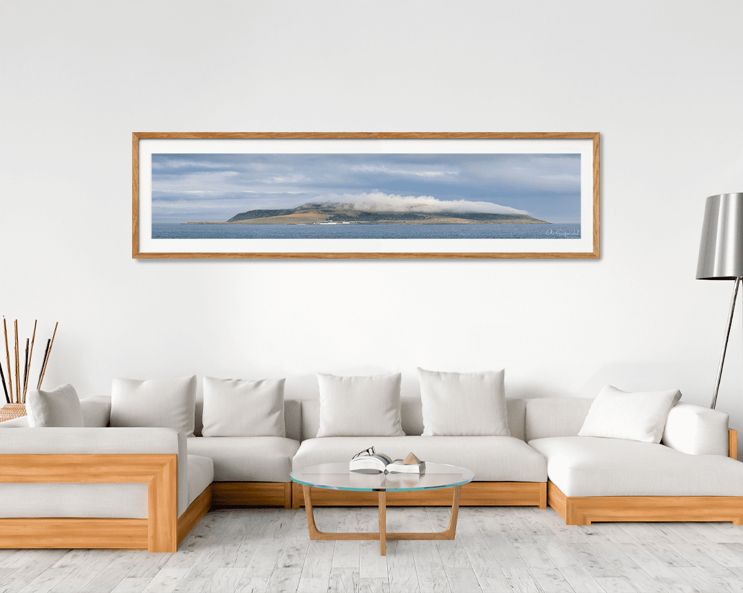 Lambay Island - Image 6