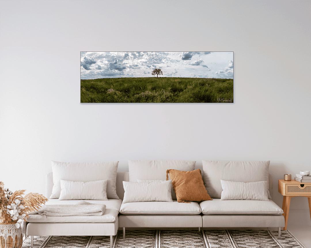 Lonely Tree - Image 9