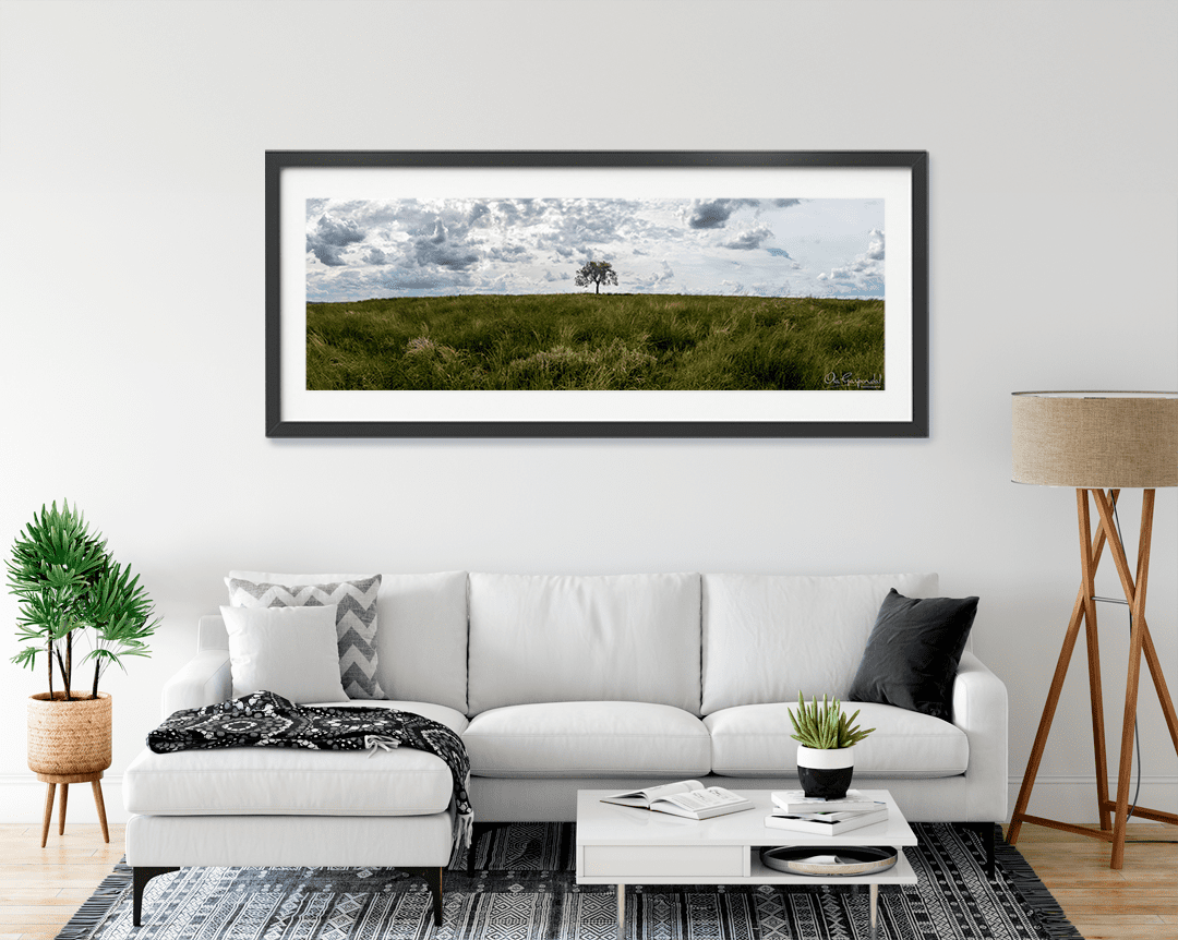 Lonely Tree - Image 7