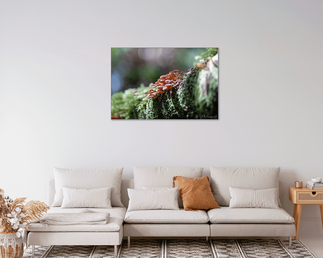 Mushrooms on a Log - Image 9