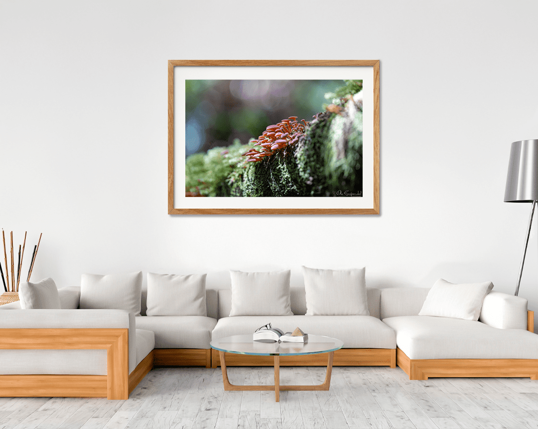 Mushrooms on a Log - Image 7