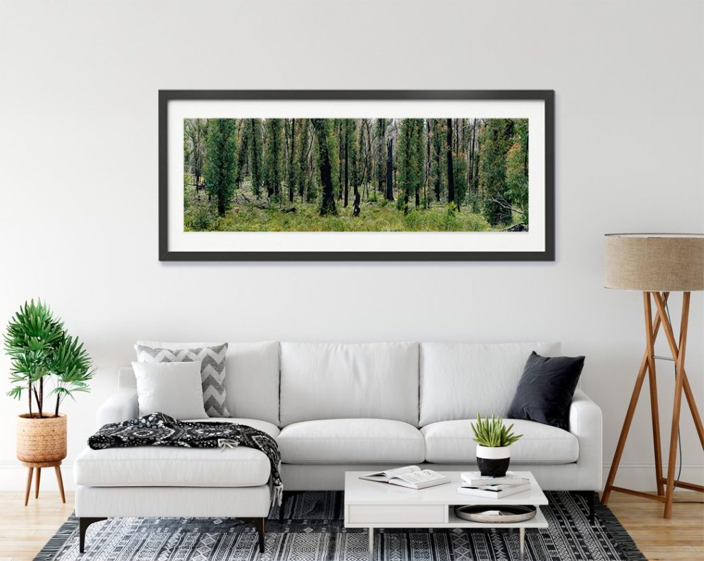Recovering Forest