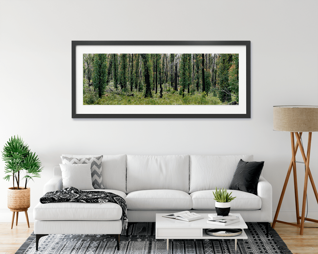 Recovering Forest