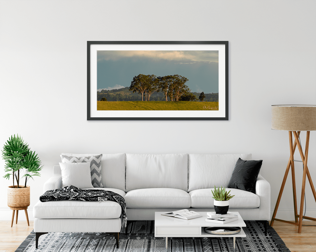 Trees on a Hill - Image 6
