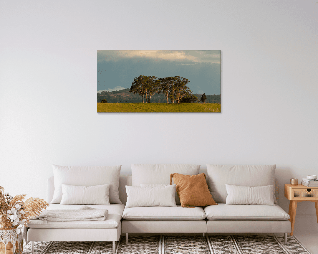Trees on a Hill - Image 9