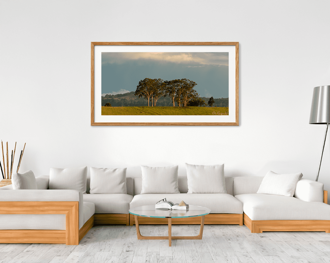 Trees on a Hill - Image 8